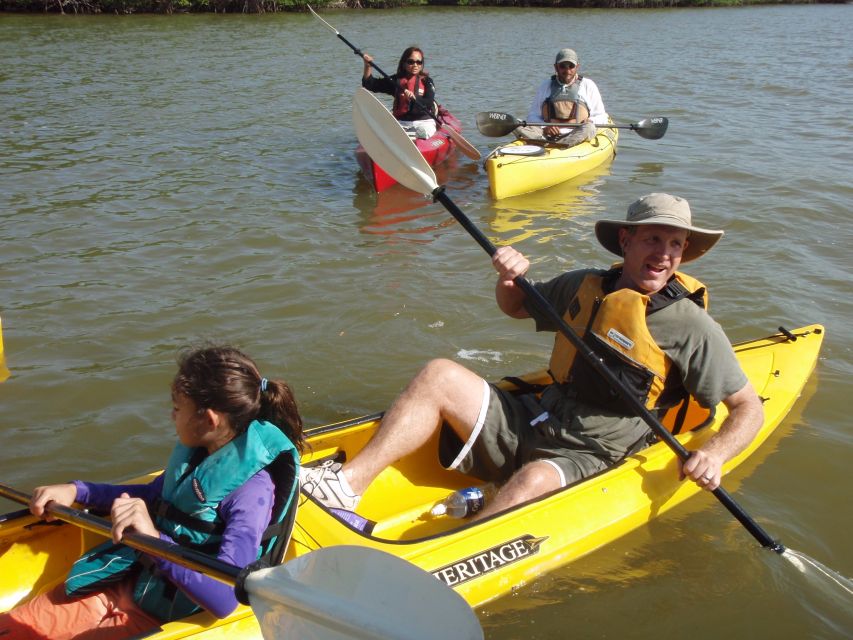 Everglades National Park 3-Hour Kayak Eco Tour - Mangrove Channels and Tidal Water