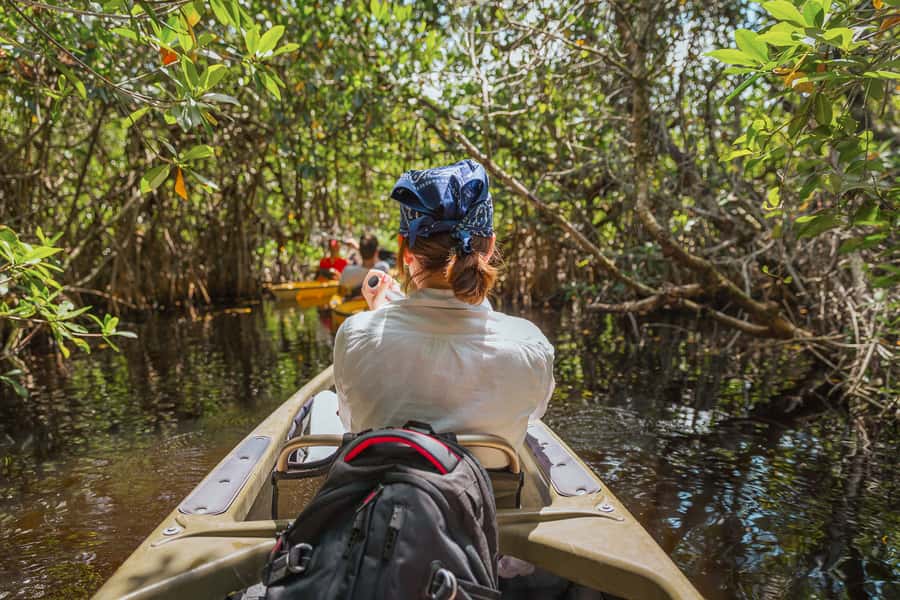 Everglades National Park: Mangrove Tunnel Kayak Eco-Tour - Key points at a glance