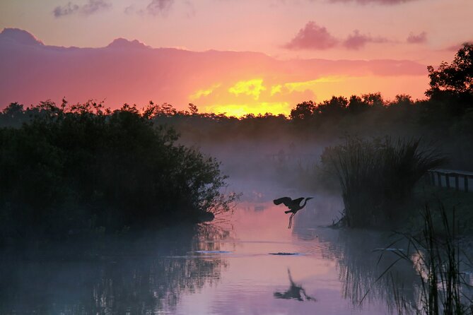 Everglades National Park: Self Guided Driving Audio Tour - What this Everglades driving tour actually does