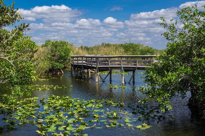 Everglades National Park: Self Guided Driving Audio Tour - Christian Point and Snake Bight for more time on foot