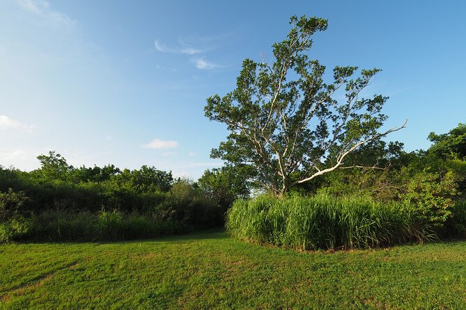 Everglades National Park: Self Guided Driving Audio Tour - Pa-Hay-Okee and the river of grass