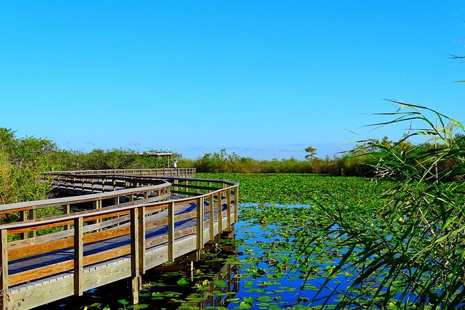 Everglades National Park: Self Guided Driving Audio Tour - Pinelands and the endangered pine habitat