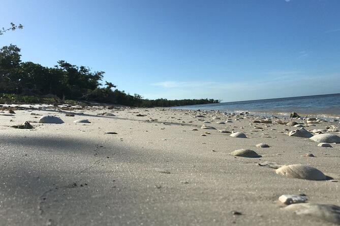 Everglades Small Group Guided Boating and Walking Expedition - When to book and what to bring