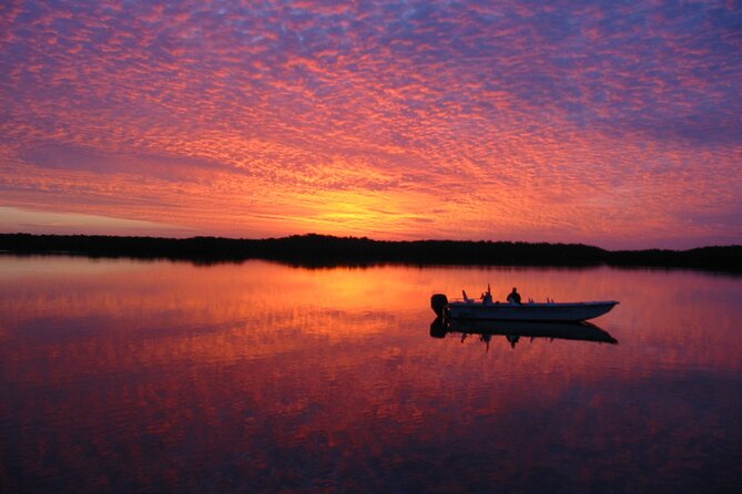 Everglades Small Group Guided Boating and Walking Expedition - The barrier island walk adds the hands-on part