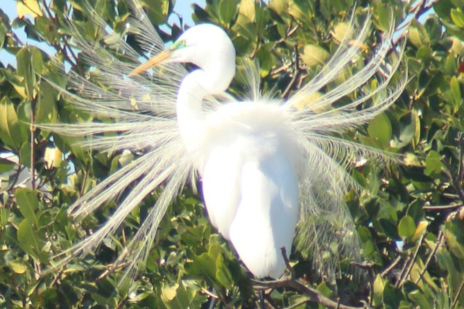 Everglades Small Group Guided Boating & Walking Tour Expedition - A six-passenger boat through the islands