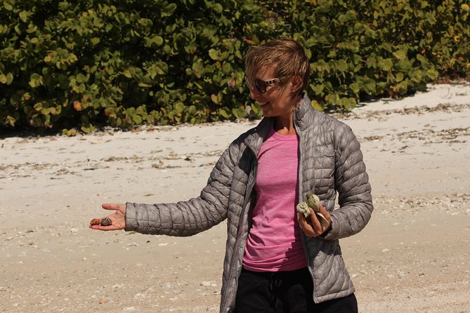 Everglades Small Group Guided Boating & Walking Tour Expedition - Wildlife you might see
