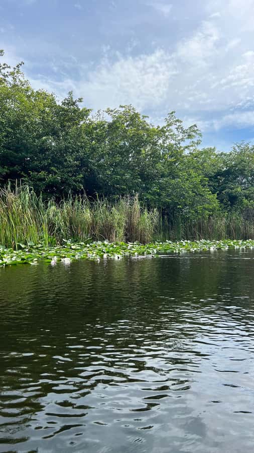 Everglades Small Group on Airboat with Transportation - Key points to know before booking