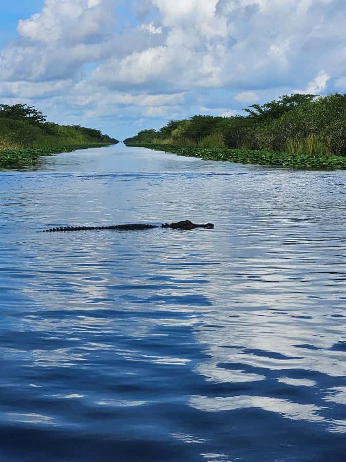 Everglades Small Group on Airboat with Transportation - Sawgrass Recreation Park and the guided boat ride
