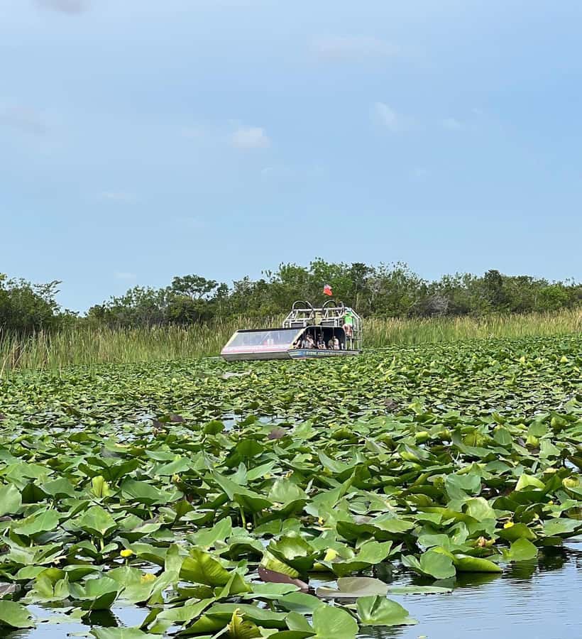 Everglades Small Group on Airboat with Transportation - The park facilities and the ride back