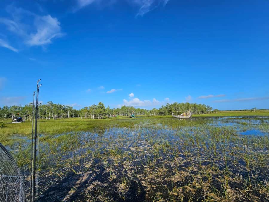 Everglades Small Group on Airboat with Transportation - Should you book the Everglades Small Group on Airboat?