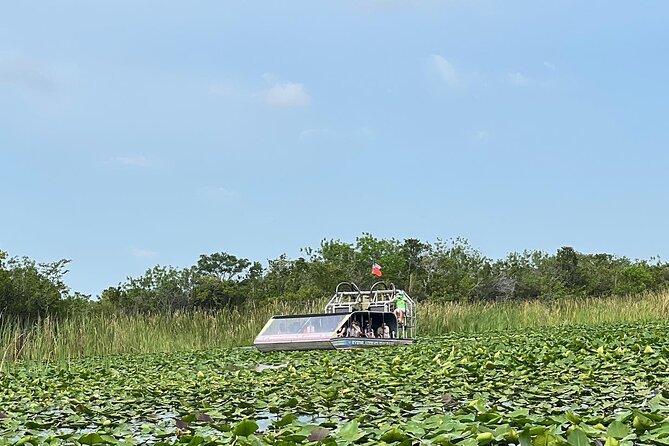 Everglades Small-Group Tour from Miami with Transportation - What happens at Everglades Holiday Park