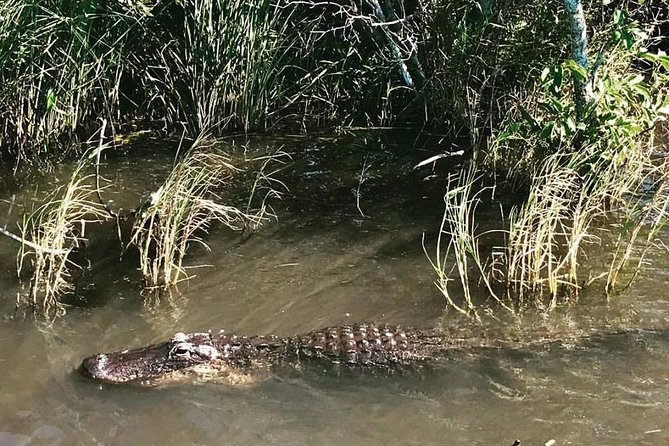 Everglades Small-Group Tour from Miami with Transportation - The airboat ride is the main event