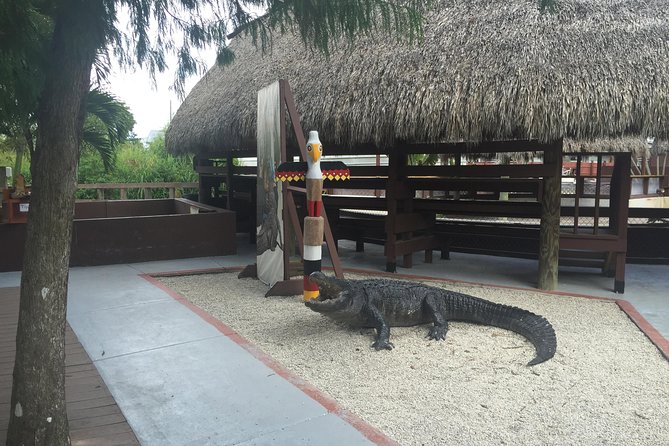 Everglades Small-Group Tour from Miami with Transportation - The black Sprinter van is part of the appeal
