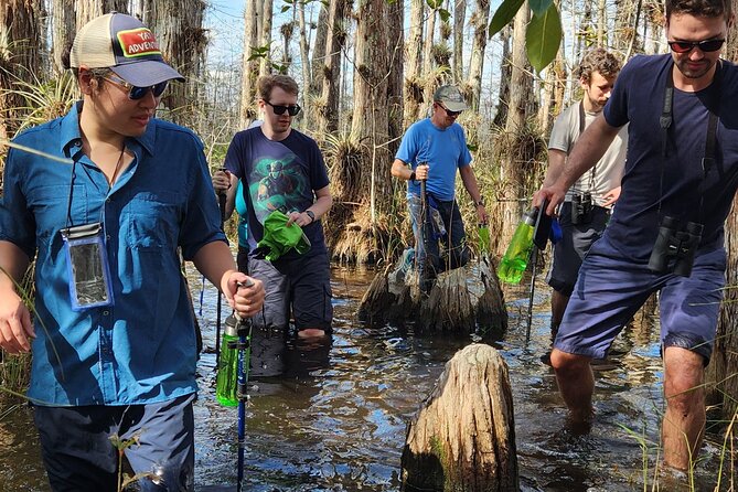 Everglades Tour w/ Biologist Led WET walk + 2 Boat Trips + Lunch! - Why this Everglades day feels different