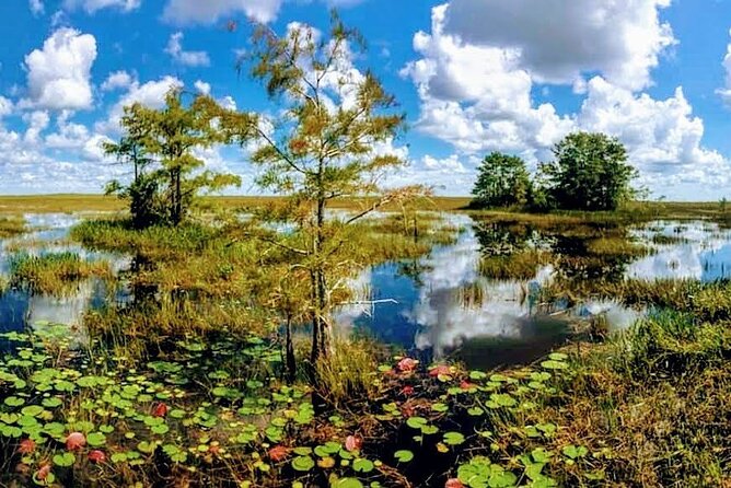Everglades Tour w/ Biologist Led WET walk + 2 Boat Trips + Lunch! - Loop Road, the Oasis stop, and a look at old Florida