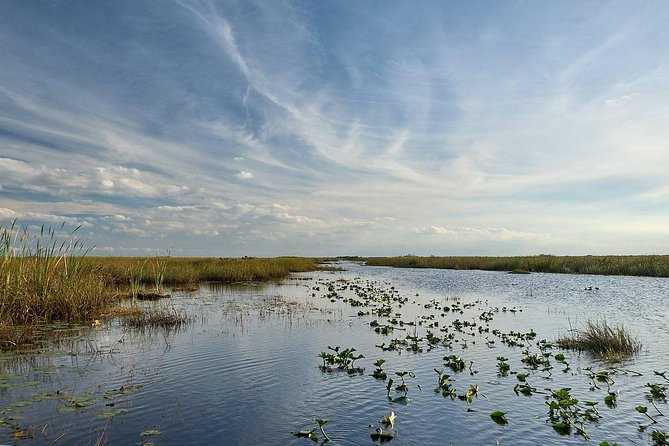 Everglades Tour w/ Biologist Led WET walk + 2 Boat Trips + Lunch! - The Big Cypress wet walk
