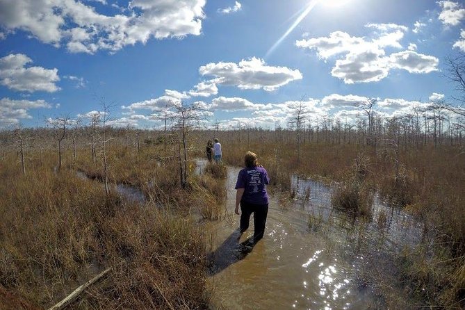 Everglades Tour w/ Biologist Led WET walk + 2 Boat Trips + Lunch! - Lunch in Everglades City
