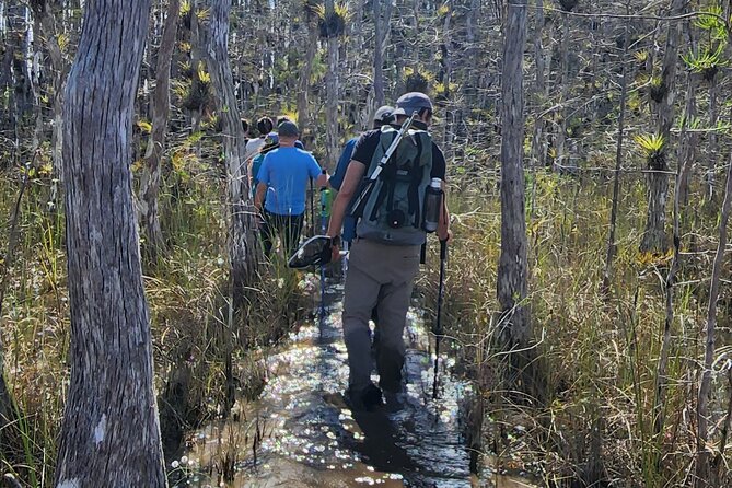 Everglades Tour w/ Biologist Led WET walk + 2 Boat Trips + Lunch! - The guides and the small-group advantage