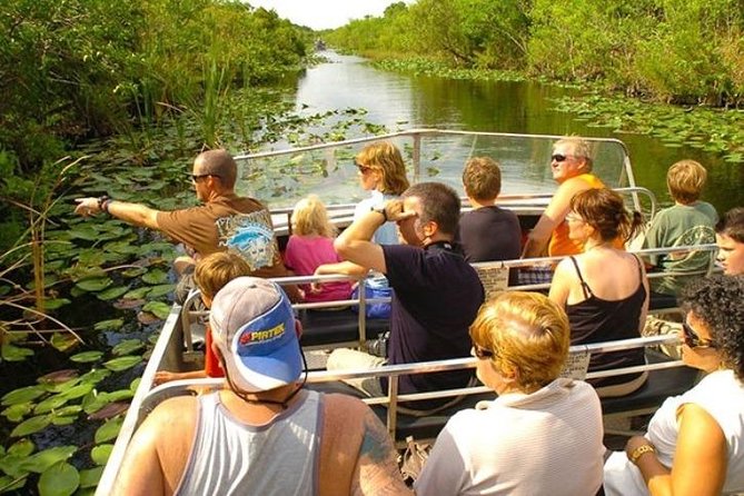 Everglades Wildlife Tour: Airboat & Alligator Habitat Experience - What you see beyond alligators