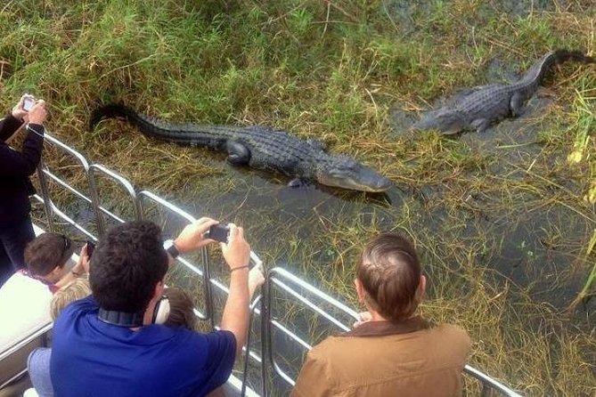 Everglades Wildlife Tour: Airboat & Alligator Habitat Experience - The route from Miami and Bayside Marketplace