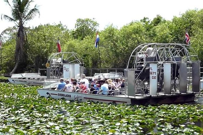 Everglades Wildlife Tour: Airboat & Alligator Habitat Experience - What the $65 price really means
