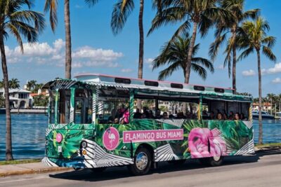 Flamingo Bus Miami Tours | Miami’s Only Open-Air Trolley!