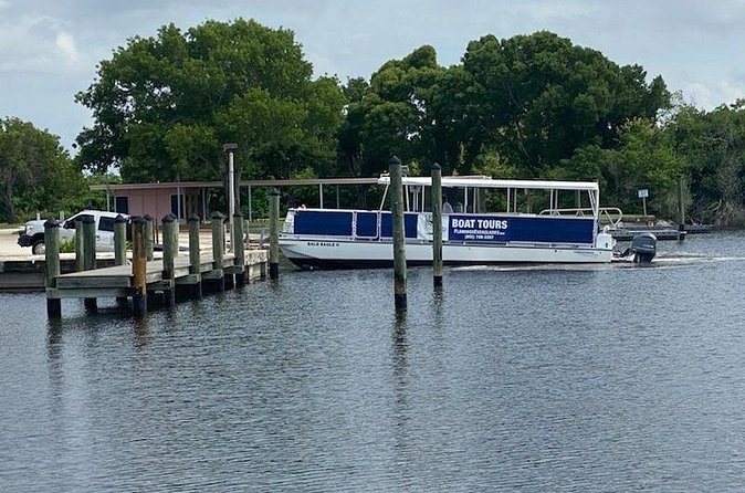 Flamingo Everglades Boat Tours - Weather and wildlife can change the experience