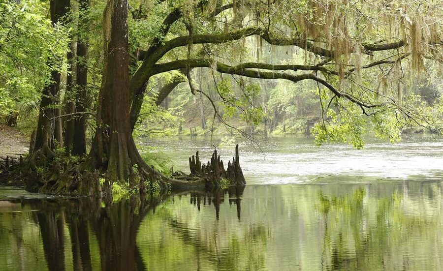 From Miami Beach: Everglades Airboat & Gator Spotting Tour - FAQ