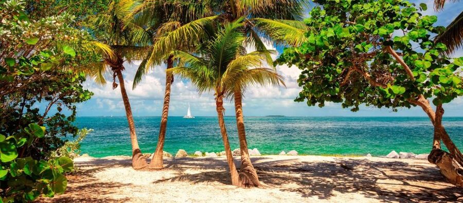 From Miami - Enchanting Key West Tour in a Small Group. - Optional snorkeling with an open bar