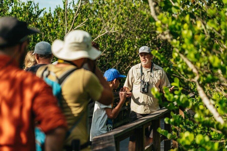 From Miami: Everglades Airboat Ride and Nature Walk - Key points at a glance