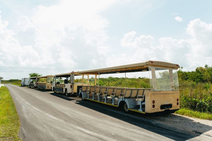 From Miami: Everglades Airboat Ride and Nature Walk - The nature walk: slow down before the boat