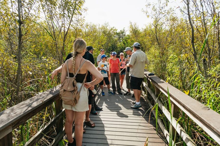 From Miami: Everglades Airboat Ride and Nature Walk - Is $189 a fair price?