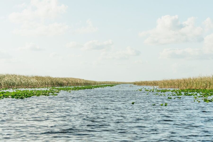 From Miami: Everglades Airboat, Wildlife Show & Bus Transfer - Timing, languages, and the return to Miami