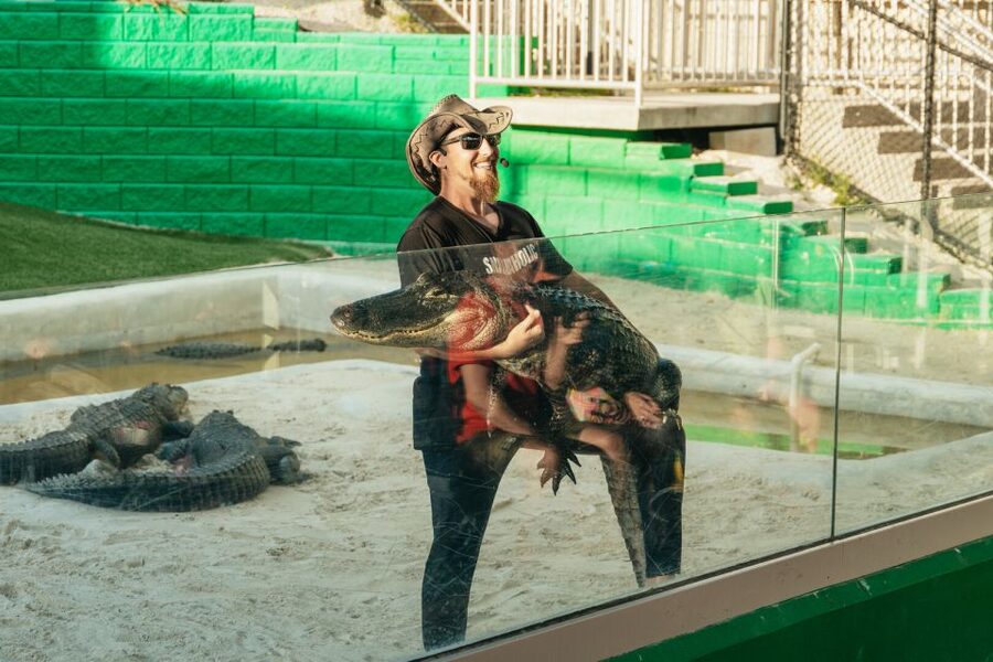 From Miami: Everglades Airboat, Wildlife Show & Bus Transfer - Who will enjoy this Everglades trip