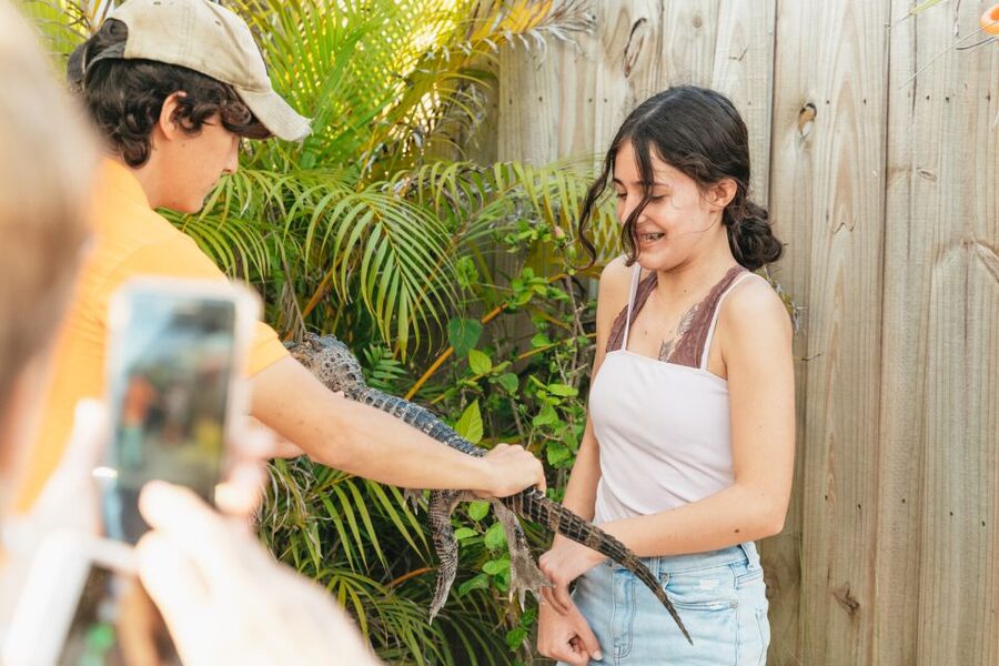 From Miami: Everglades Airboat, Wildlife Show & Bus Transfer - The airboat ride at Everglades Holiday Park