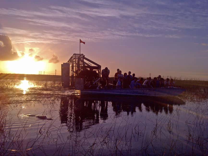 From Miami: Everglades at Night with Guided Airboat Tour - Key points to know before booking