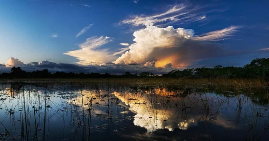 From Miami: Everglades at Night with Guided Airboat Tour - The coach ride from Miami to Sawgrass Recreation Park