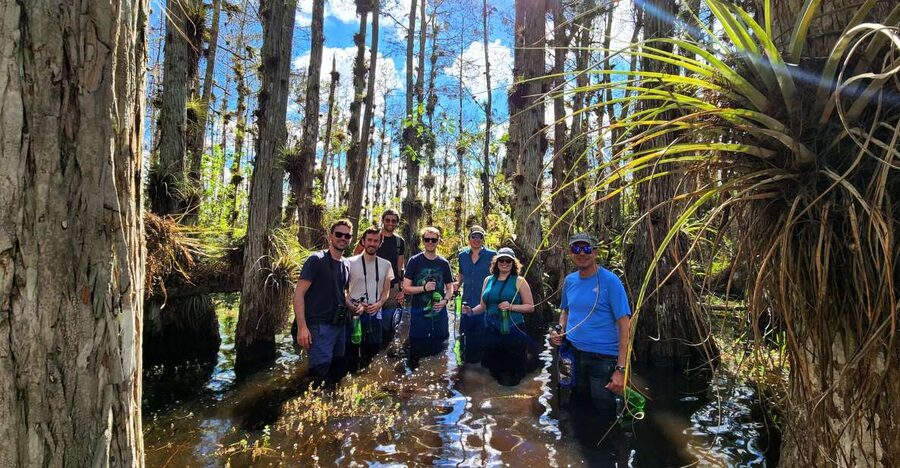 From Miami: Everglades Tour w/ Wet Walk, Boat Trips, & Lunch - Is $389 a fair price?