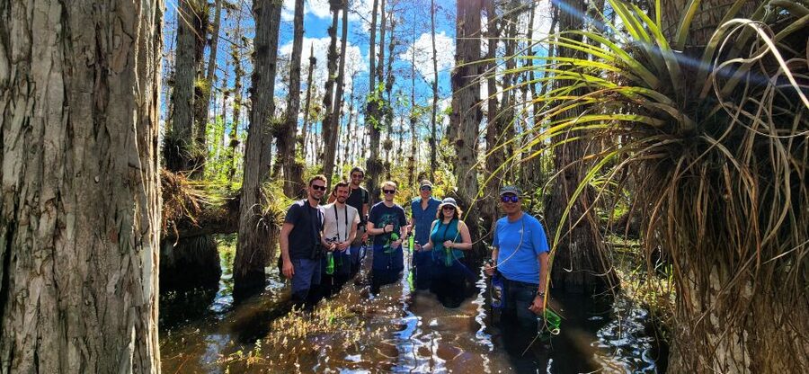 From Miami: Everglades Tour w/ Wet Walk, Boat Trips, & Lunch - From Miami into the River of Grass