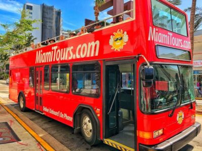 Everglades Wildlife Show, Airboat & Bus Transfer