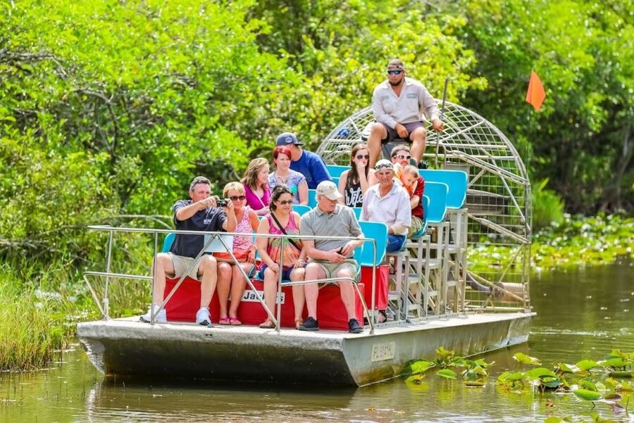 From Miami: Everglades Wildlife Show, Airboat & Bus Transfer - How much value do you get for $40?