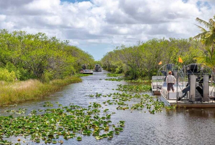 From Miami: Everglades Wildlife Show, Airboat & Bus Transfer - Who should choose the half-day and full-day options?