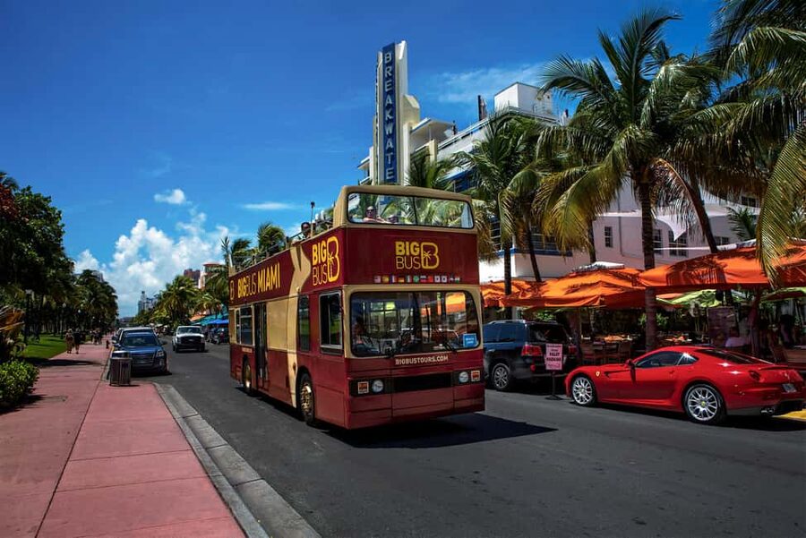 From Miami: Everglades, Wildlife Show, & Hop-on Hop-off Tour - Who should book this experience?