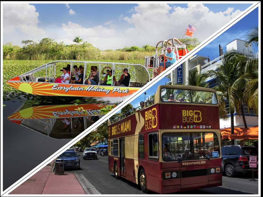 From Miami: Everglades, Wildlife Show, & Hop-on Hop-off Tour - The 45-minute airboat ride