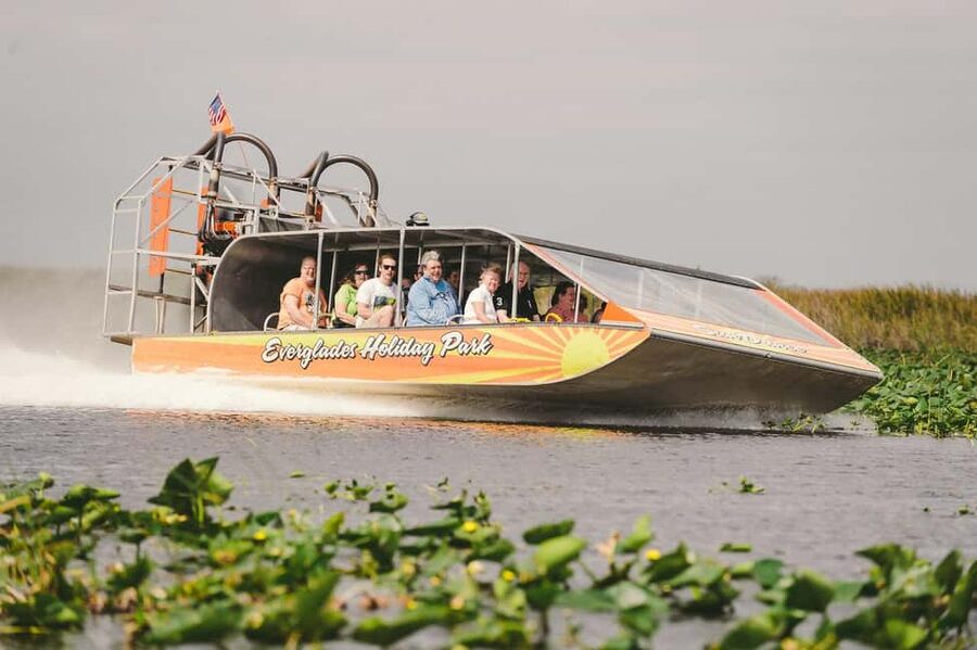 From Miami: Everglades, Wildlife Show, & Hop-on Hop-off Tour - The alligator and wildlife show