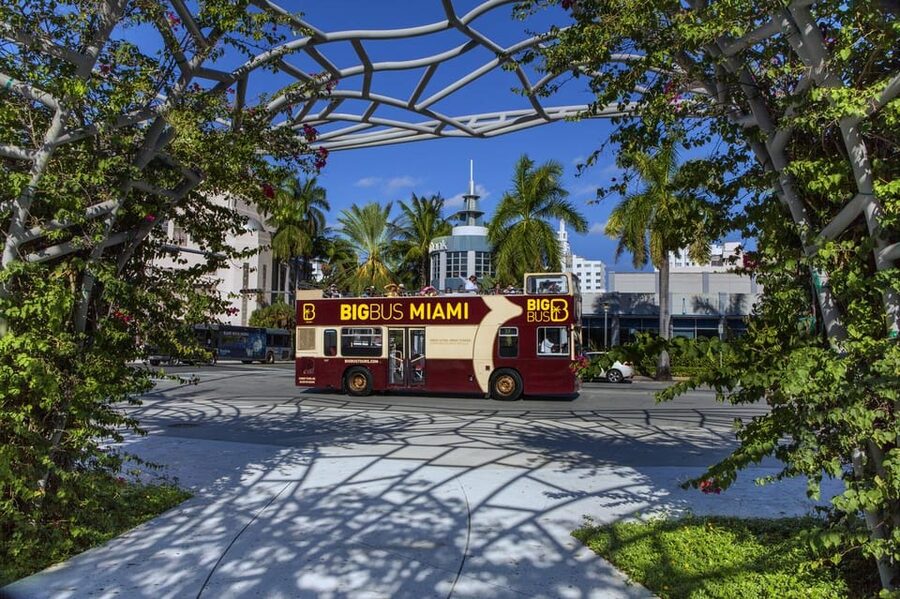 From Miami: Everglades, Wildlife Show, & Hop-on Hop-off Tour - Returning to Miami and using the city pass