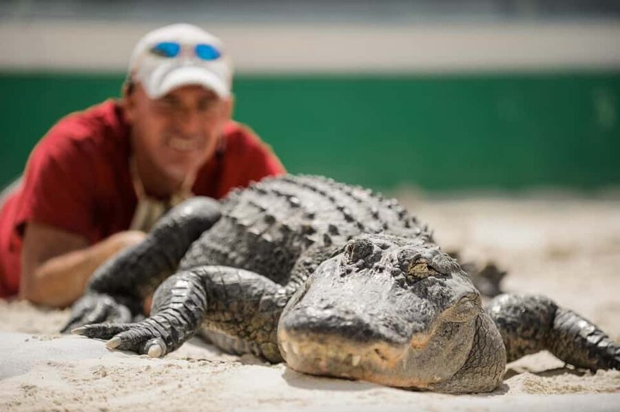 From Miami: Everglades, Wildlife Show, & Hop-on Hop-off Tour - Is $79 a fair price?
