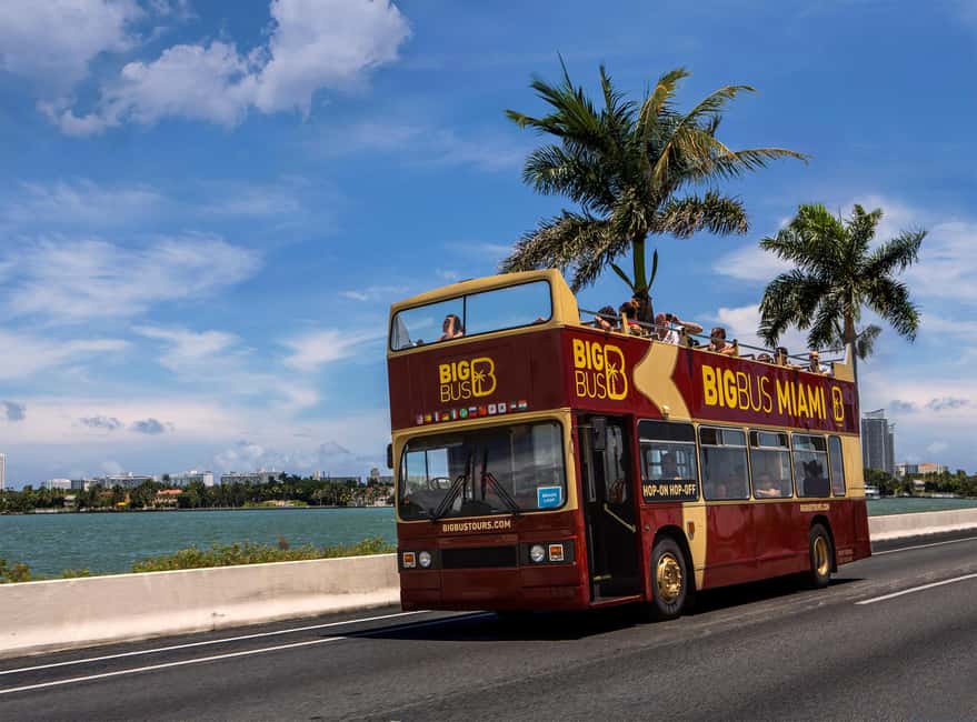 From Miami: Everglades, Wildlife Show, & Hop-on Hop-off Tour - Timing, language, and access