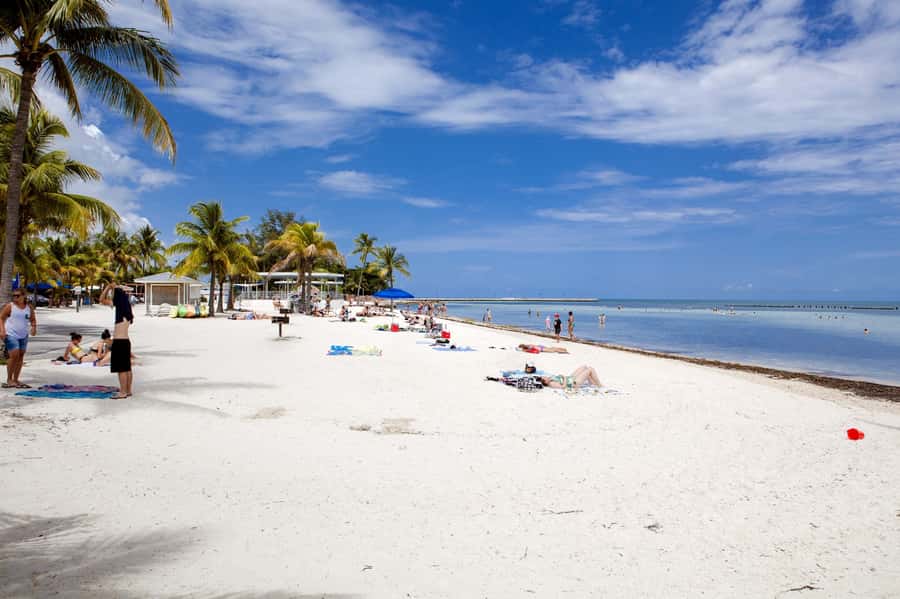 From Miami: Key West Day Tour by Motor Coach Bus - Should you book this Key West bus tour?