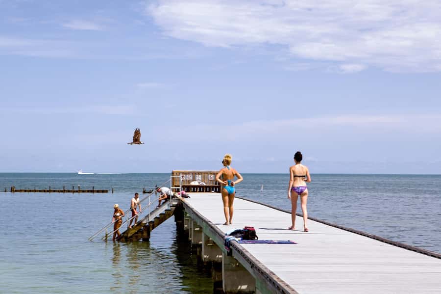 From Miami: Key West Day Tour by Motor Coach Bus - Timing, pickup, and practical planning